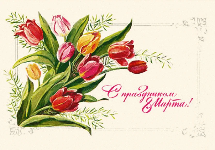 Тюльпаны на советской открытке