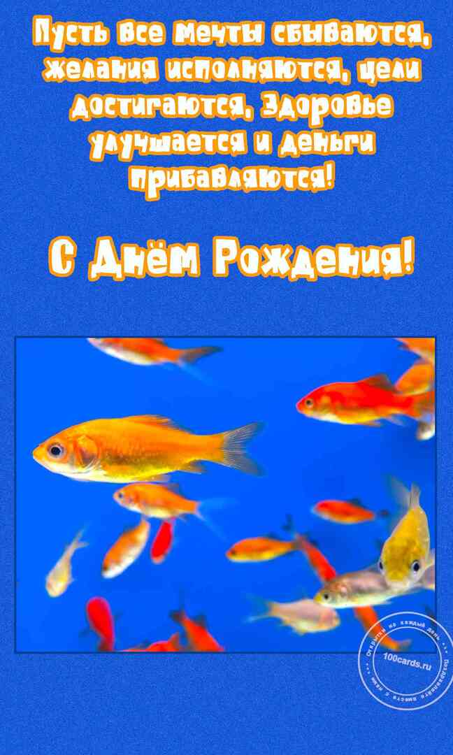 Золотые рыбки на открытке с поздравлениями в день рождения для мужчины и пожеланием, чтобы мечты сбывались