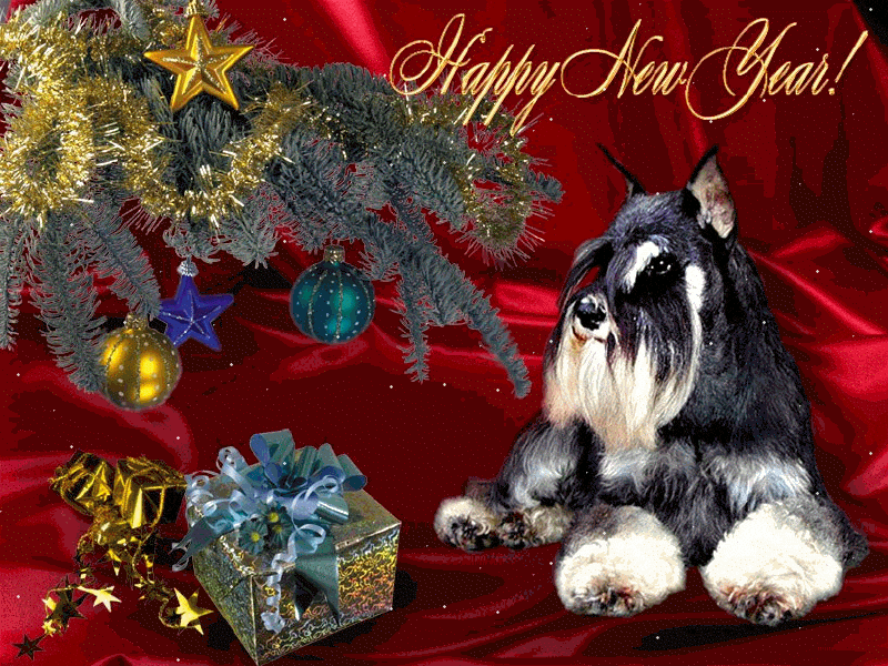 Собачка с подарком на новый год