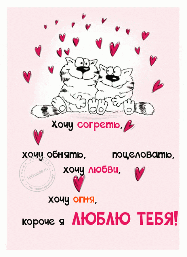 Два влюбленных котика на открытке я тебя люблю