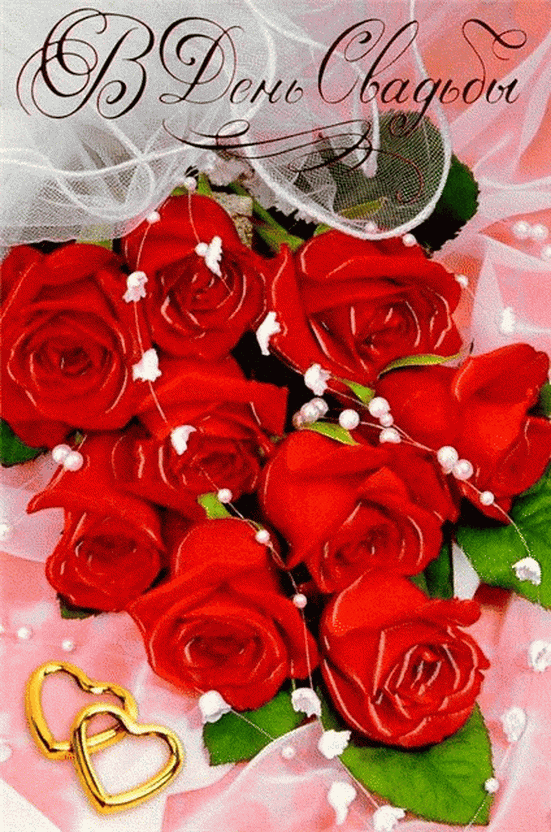 Красные розы в день свадьбы..