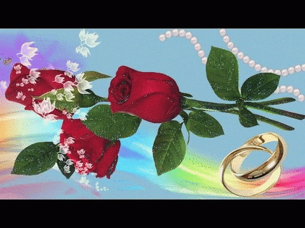 Розы и два обручальных кольца