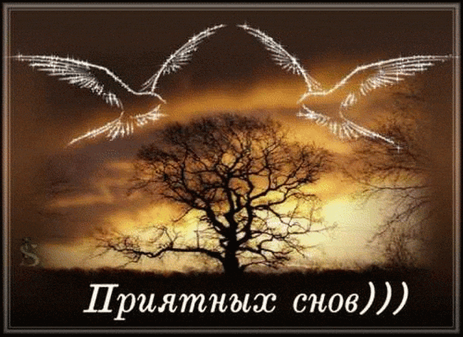 Приятных снов)))