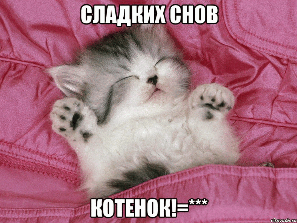 Сладких снов, котенок!