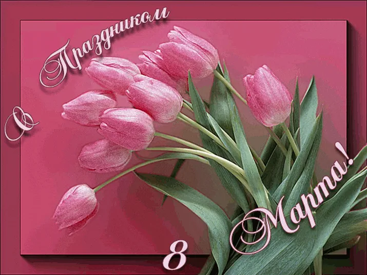 Розовые мерцающие тюльпаны 