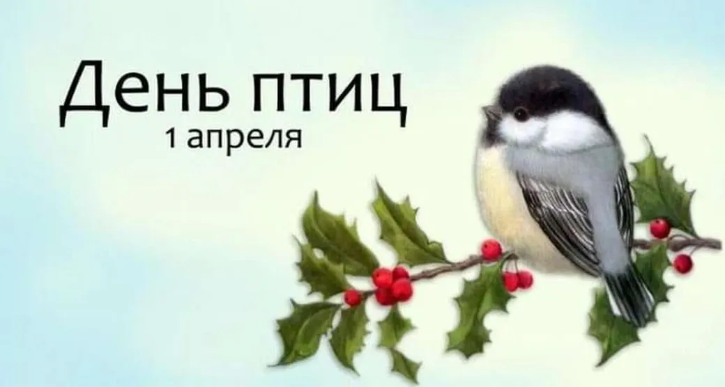 Поздравительная открытка с днем птиц