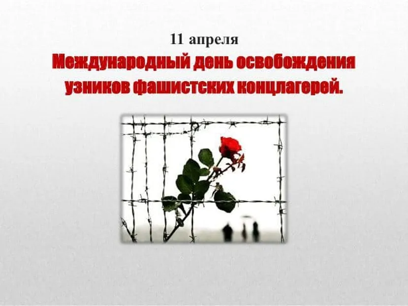 Яркая открытка с днем освобождения узников фашистских концлагерей