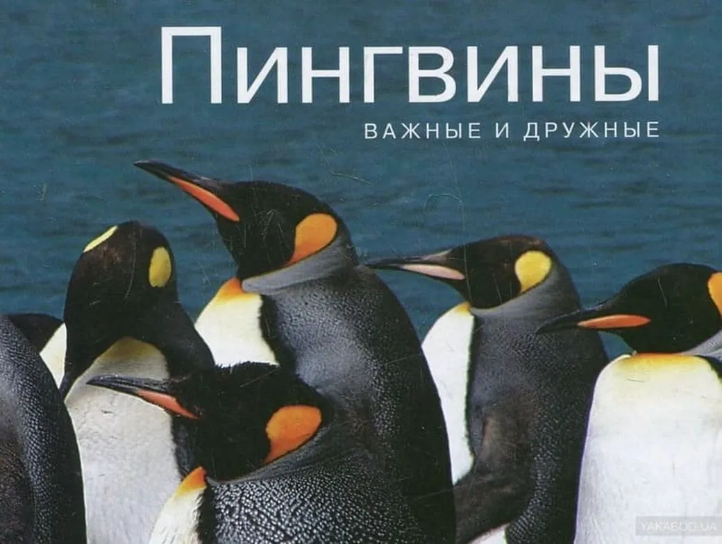 Поздравительная открытка с днем пингвинов