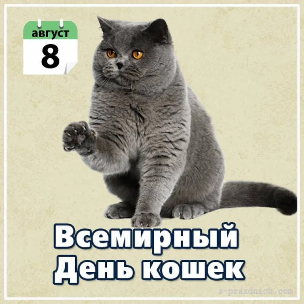 Поздравляем с всемирным днем кошек, открытка