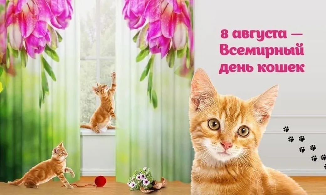 Большая открытка с всемирным днем кошек