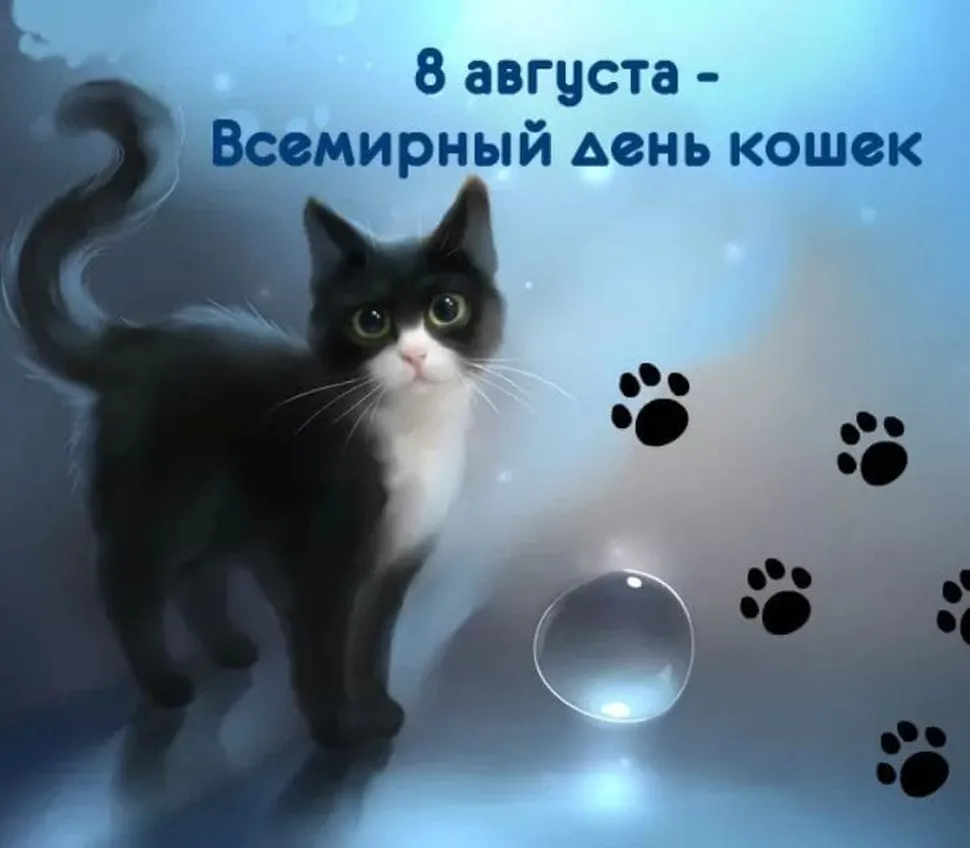 Официальная открытка с всемирным днем кошек