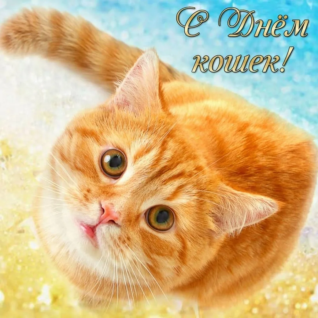 Яркая открытка с всемирным днем кошек