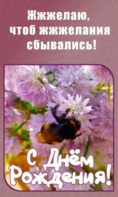 Шмель и сиреневые цветочки на открытке с поздравлениями