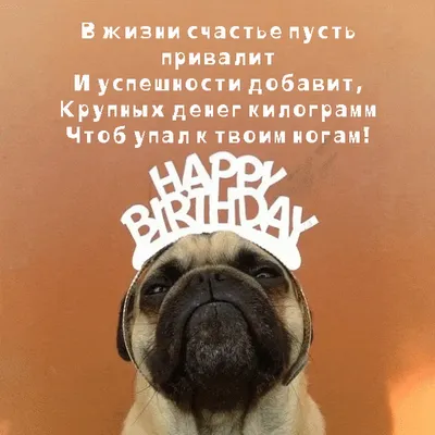 Картинка с днем рождения с собаками