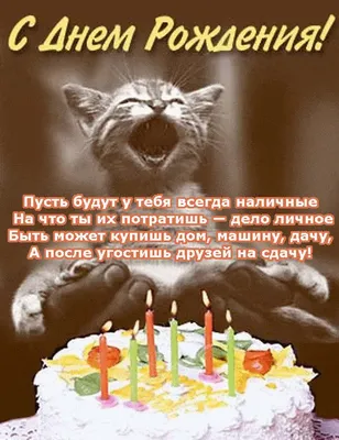 Оригинальная открытка парню с котенком и тортом