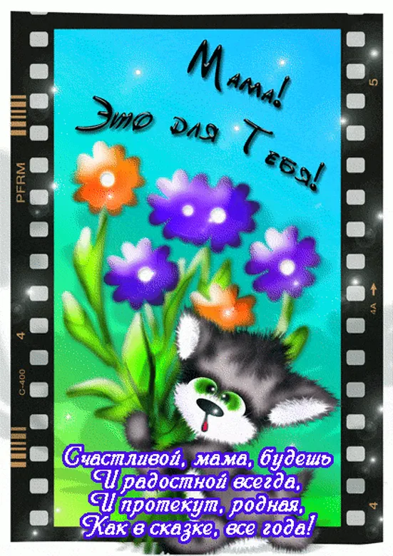 Котик с цветами для мамочки на открытке с синим фоном