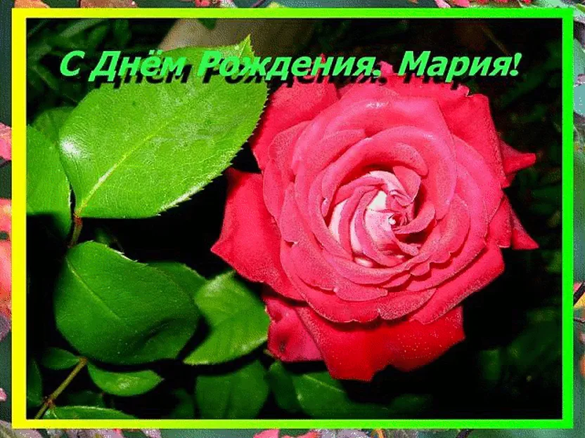 Открытка с днем рождения с розой для Марии, Маши