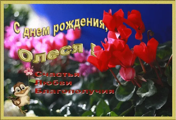  Открытка с днем рождения с цветами Олесе