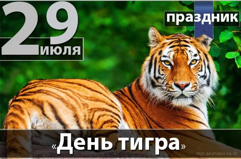 Яркая открытка с днем тигра