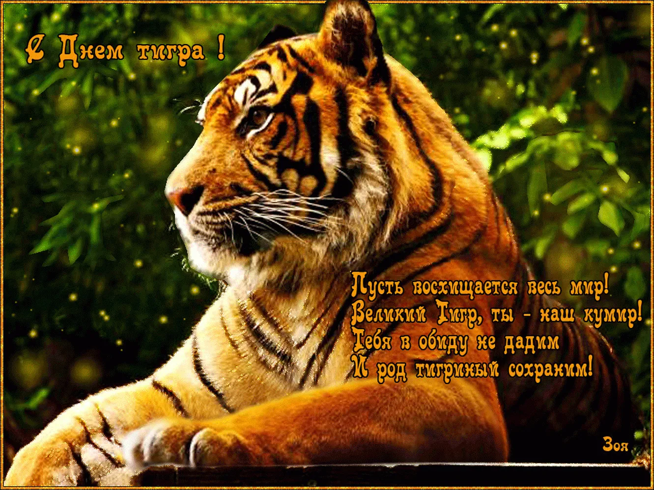 Поздравляем с днем тигра, открытка