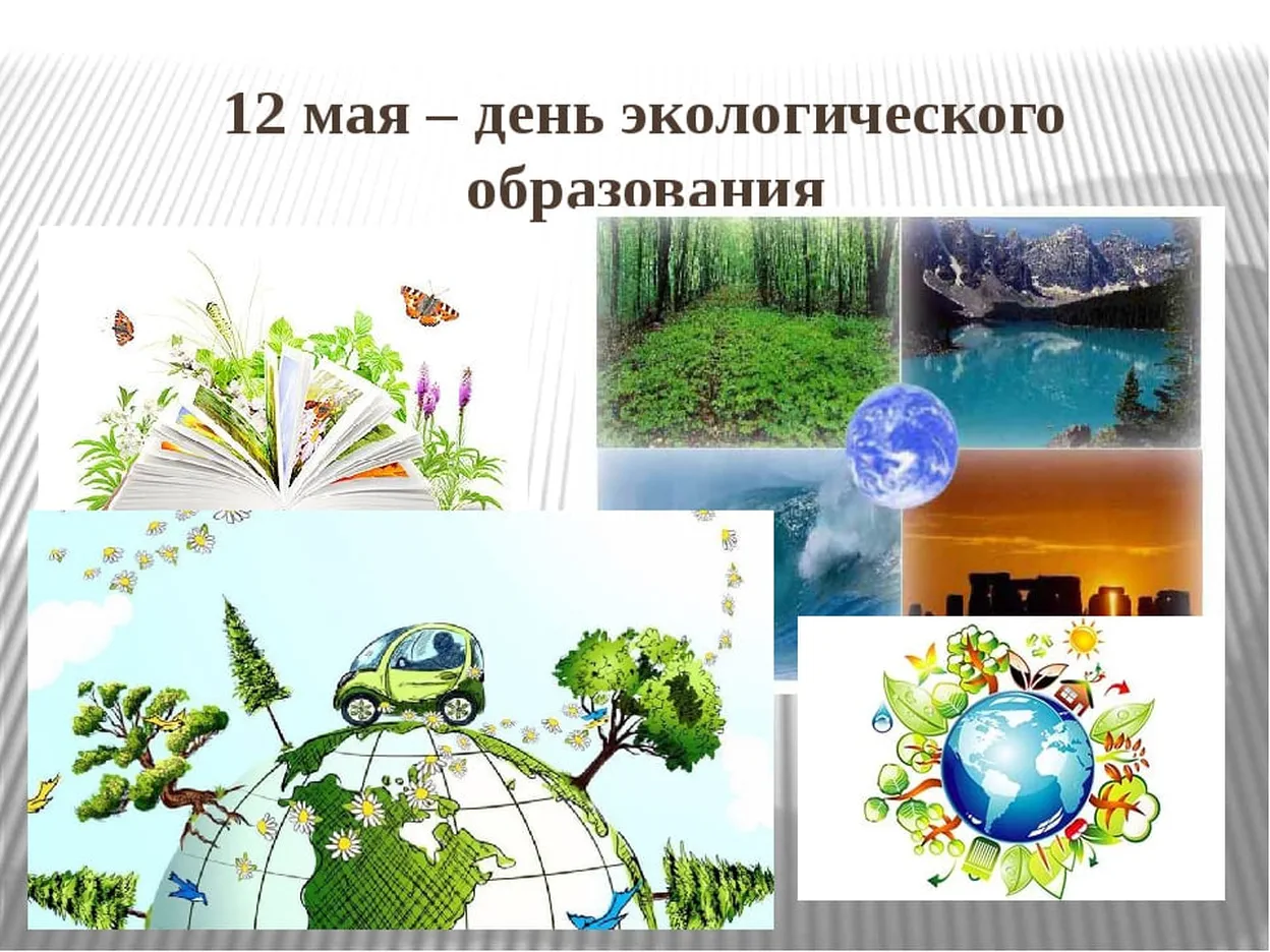 Официальная открытка с днем экологического образования