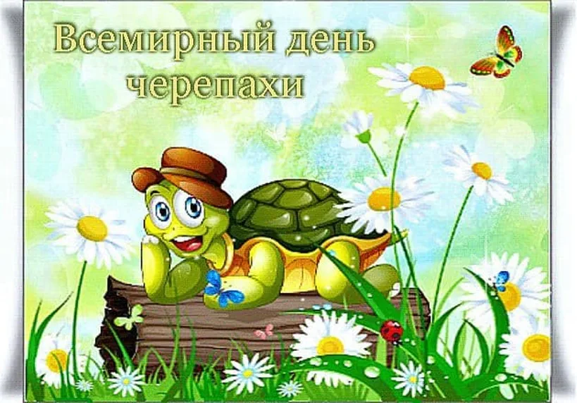 Поздравить с днем черепахи открыткой