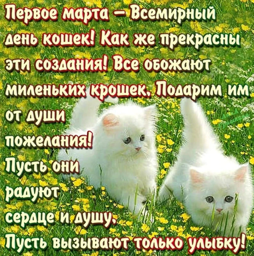 Большая открытка с днем кошек