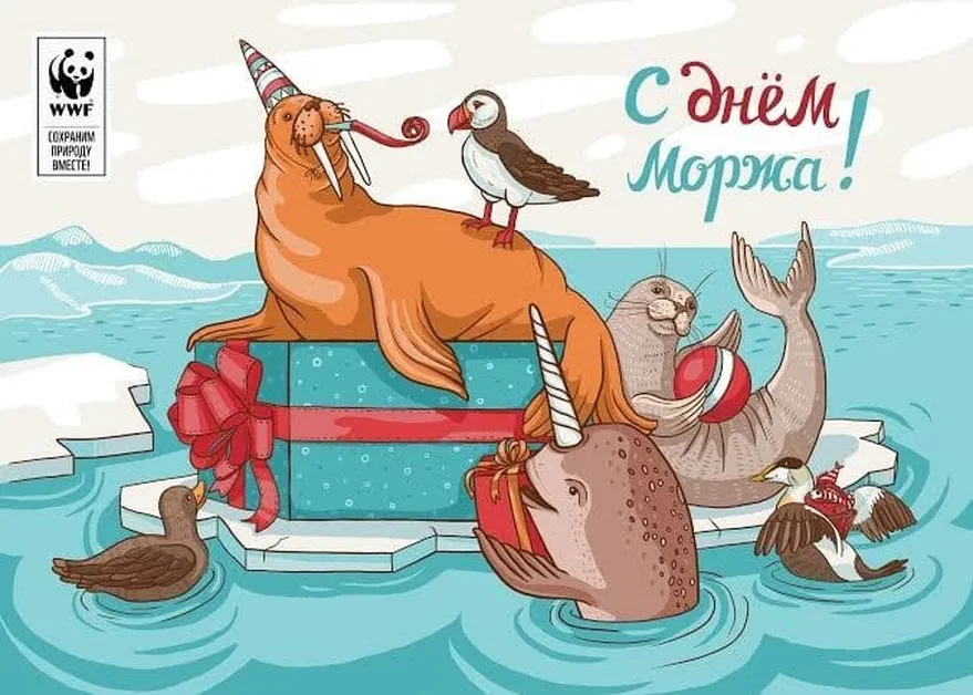 Поздравительная открытка с днем моржа