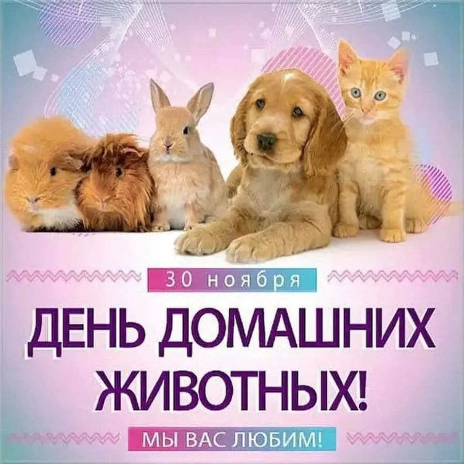 Поздравительная открытка с днем домашних животных