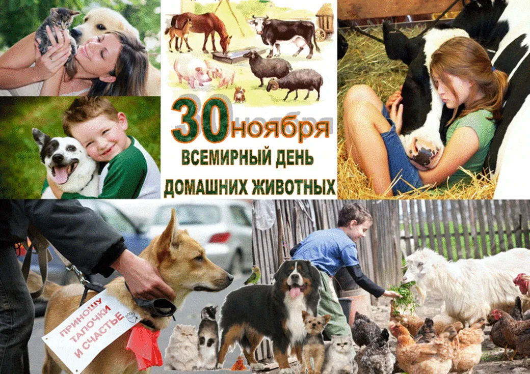 Большая открытка с днем домашних животных