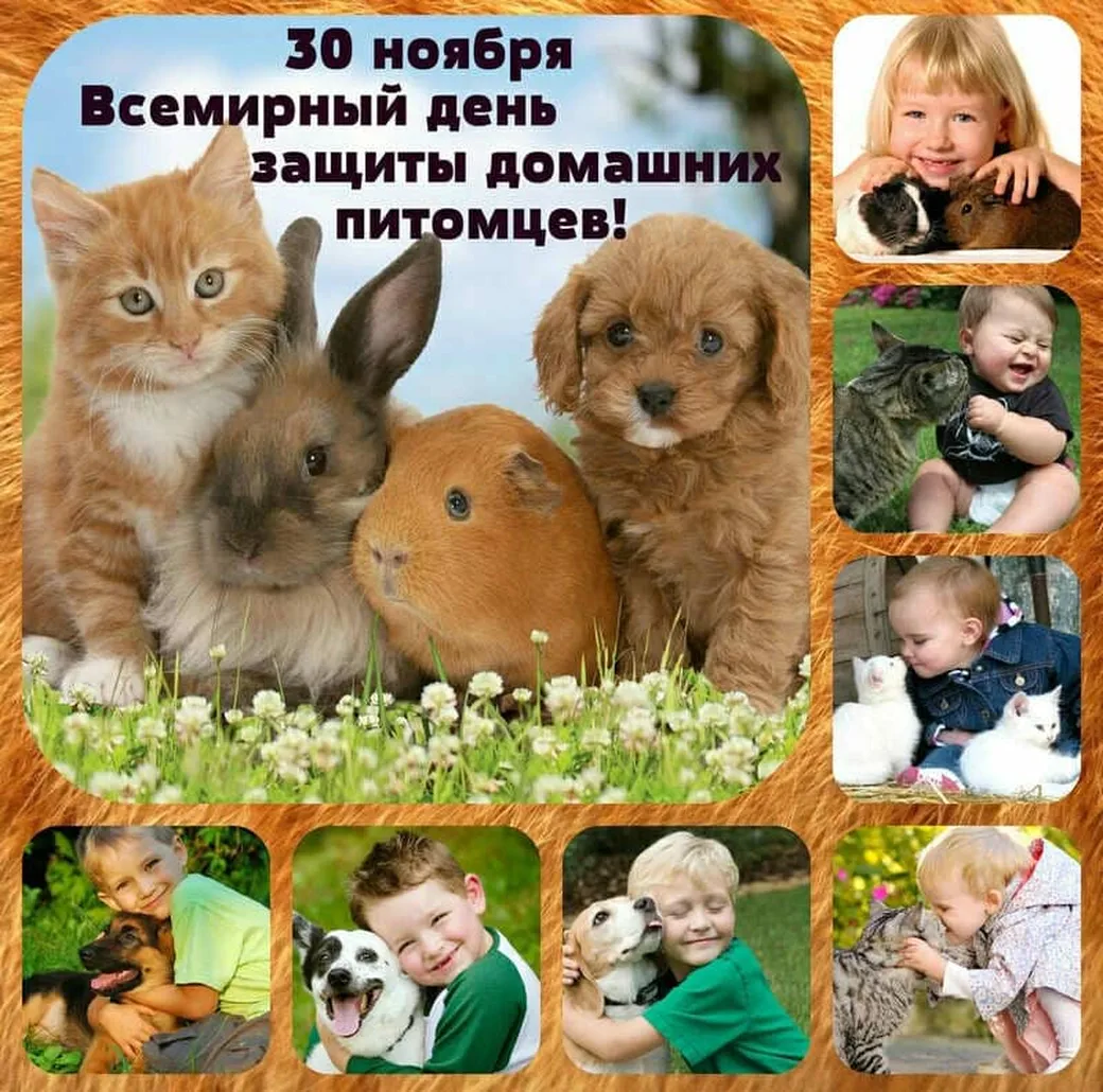 Официальная открытка с днем домашних животных