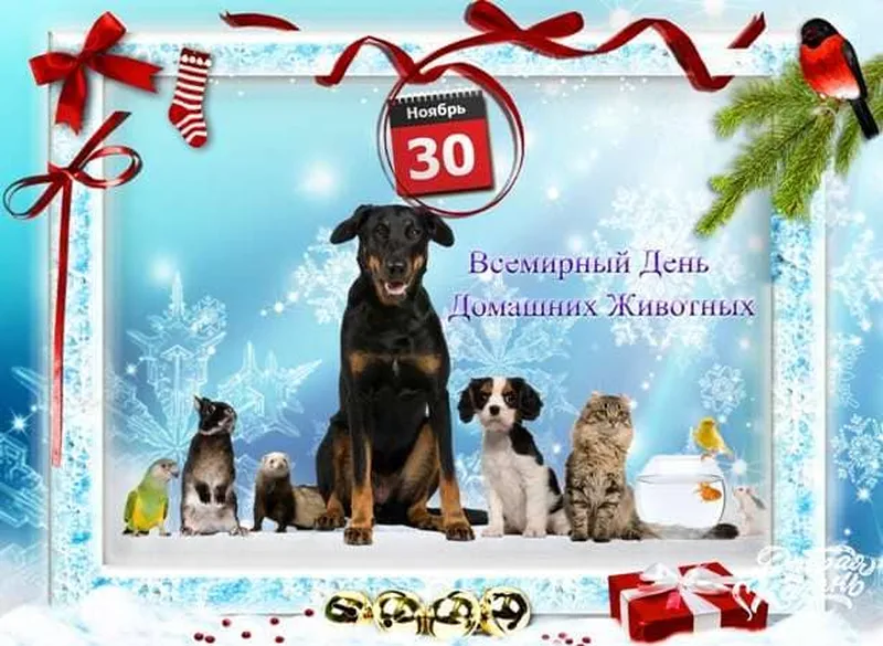 Поздравительная открытка с днем домашних животных