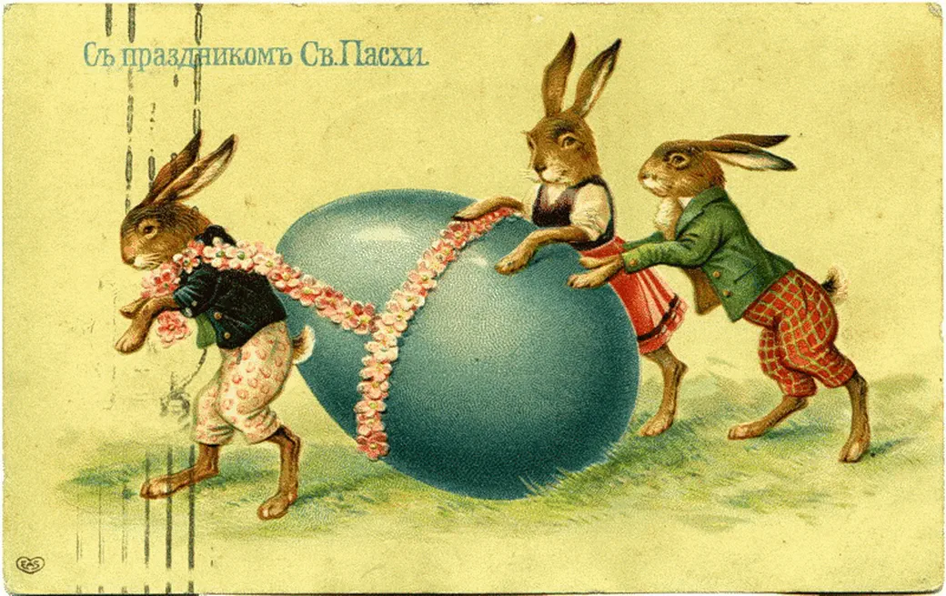 Кролики катят яйцо