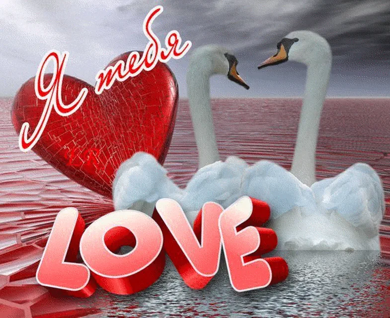 Влюбленные лебеди, красное сердце и объемная надпись на английском - Любовь