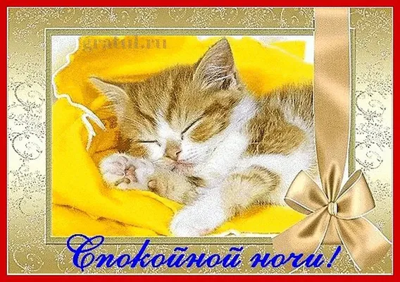 Спокойной ночи котик открытка