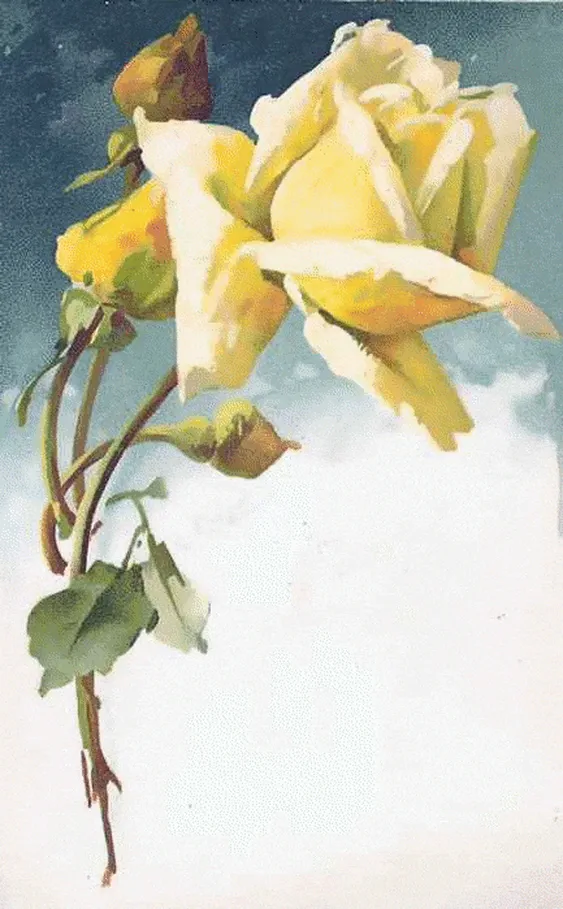 Рисованная открытка с цветком..